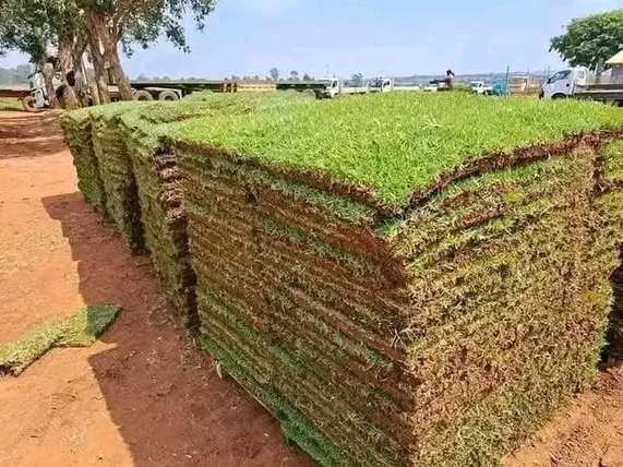 Stacked grass sods ready for laying — by Kellyscappers Central