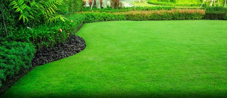 Lawn Maintenance — Kellyscappers Central
