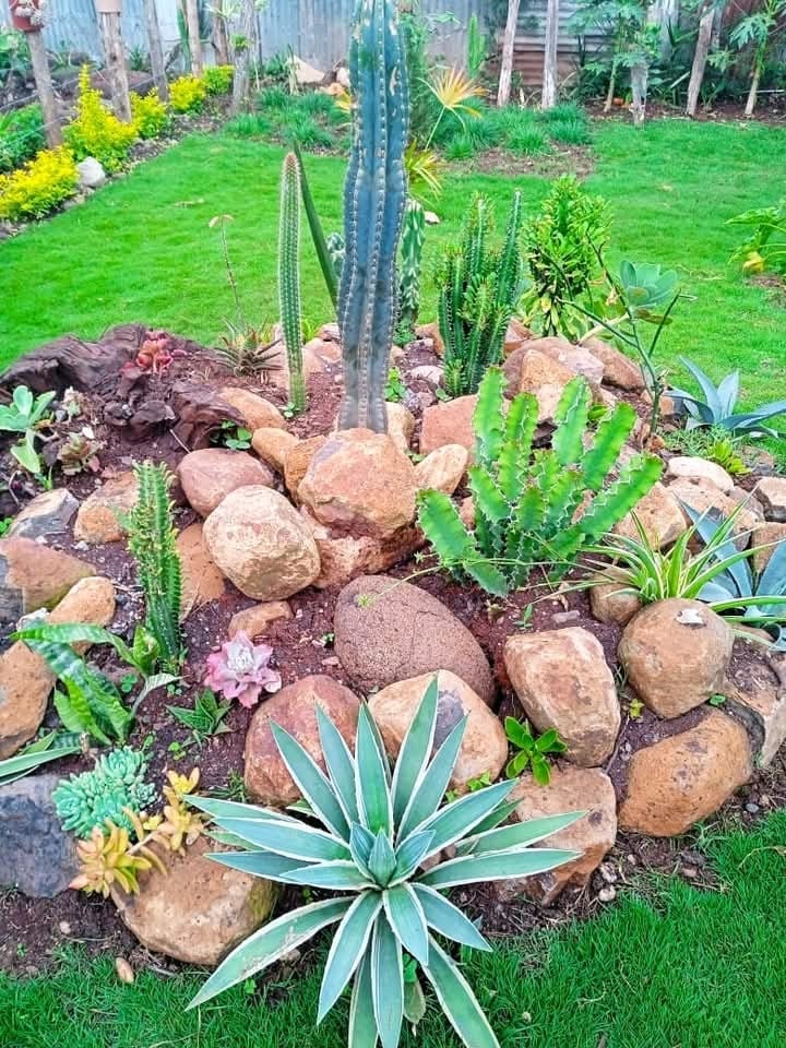 Rock Garden — Kellyscappers Central